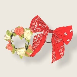 Decorated hair-ties (aesthetic)